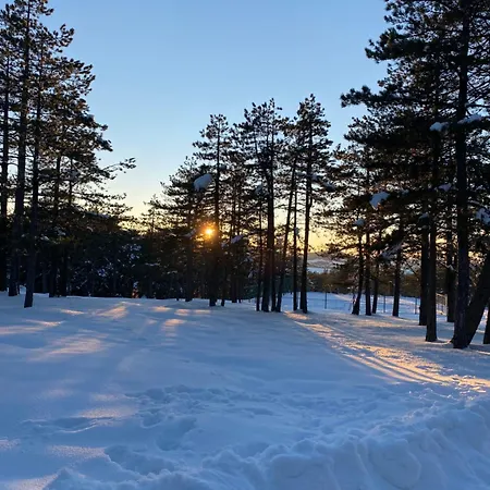 Semesterbostad Biser Pancica *