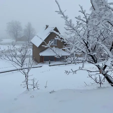Holiday home Biser Pancica *