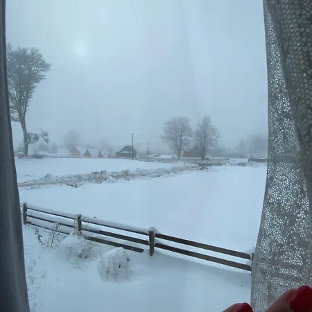 Biser Pancica * Sekulic