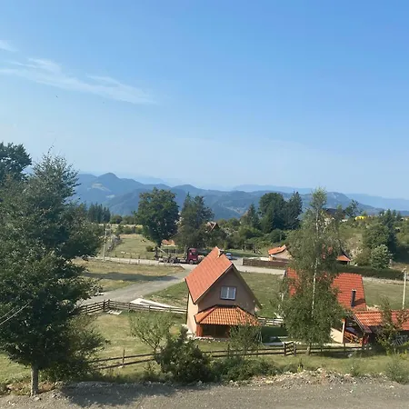 Biser Pancica