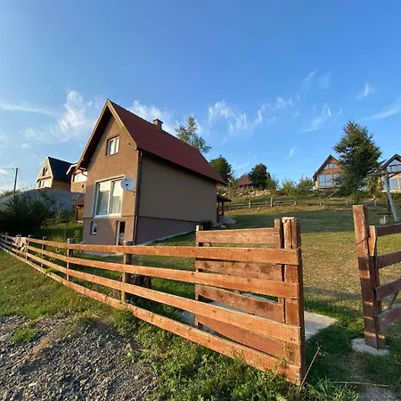 Biser Pancica * Sekulic