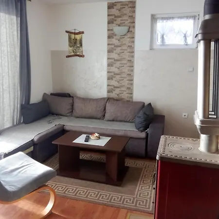 Biser Pancica Holiday home *