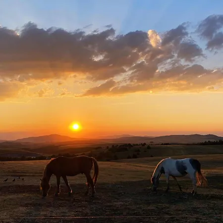 Vakantiehuis Biser Pancica *