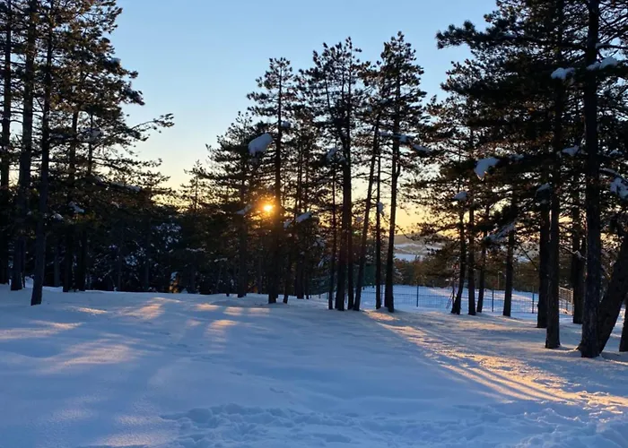 Vakantiehuis Biser Pancica *