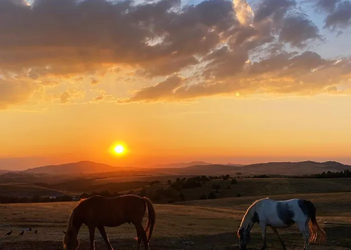 Vakantiehuis Biser Pancica *