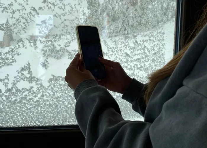 Biser Pancica * Sekulic